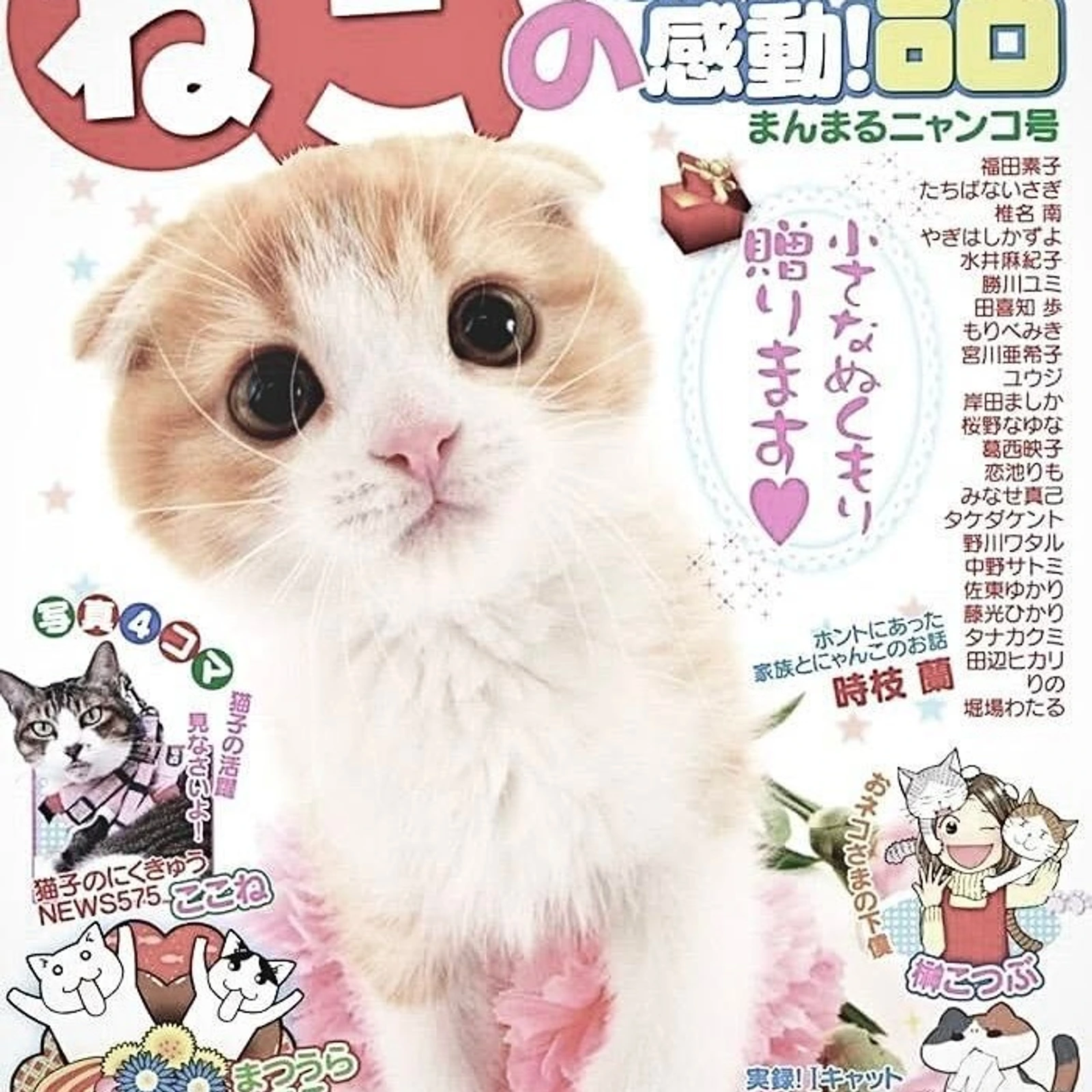 ✦ Form Entregas Personales