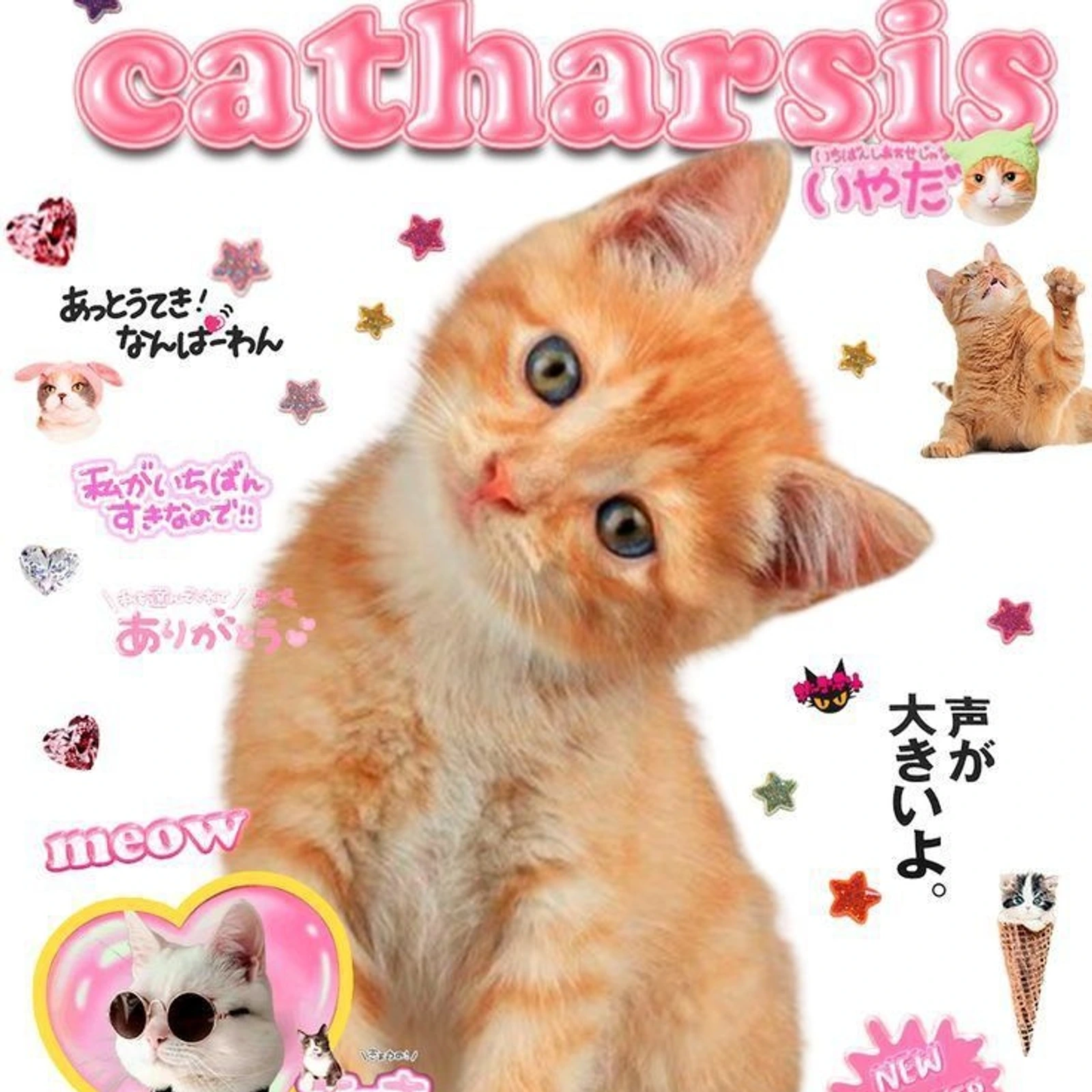 ✴︎Form Envios Nacionales